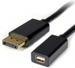 3ft (1m) DisplayPort to Mini DisplayPort Cable - 4K x 2K UHD Video