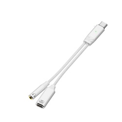 USB C to 3.5mm Audio Adapter and Charger 2 in 1 Hi-Res 32bit/384kHz Aux to USB C with PD 60W Fast Charging Dongle Cable