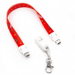 30CM Gift USB C male to USB C male power charge data transfer cable