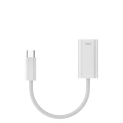 iOS 17 Female to Type C Male Adapter Cable, 45W, 15cm,