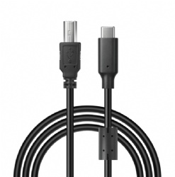 USB-C Male to USB-B Male – Universal Connectivity