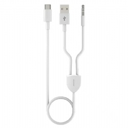 2 in 1 multi  USB Type C with 3.5mm stereo aux cable
